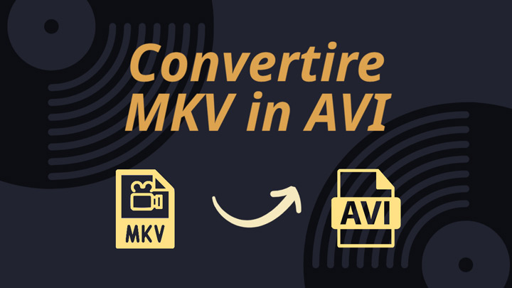 convertire file MKV in AVI