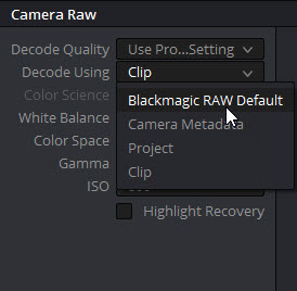 Adjust Camera Raw in DaVinci Resolve
