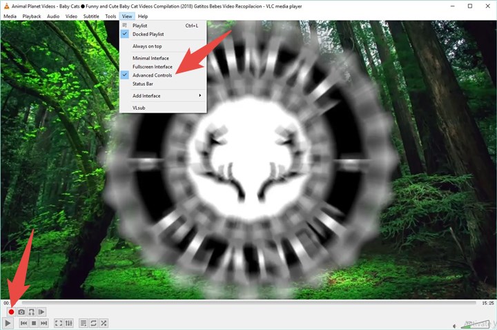 check Advanced Controls in VLC