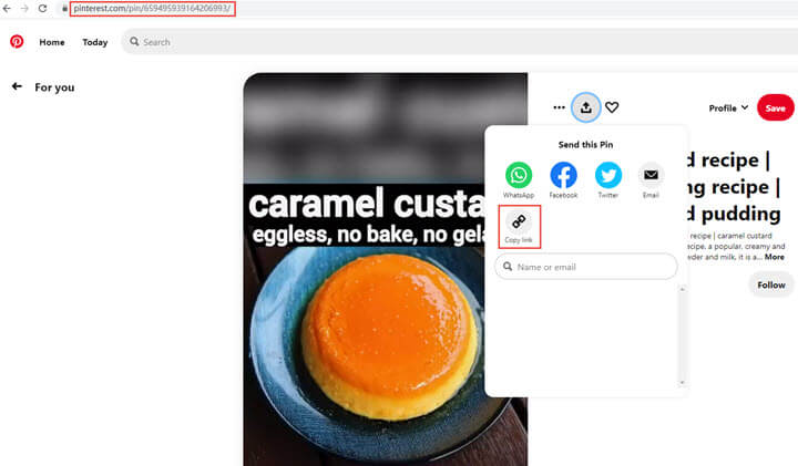 Copy the URL of the Pinterest video