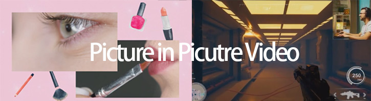 Make Picture in Picture Videos