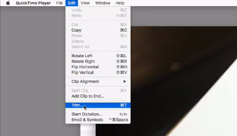 Quicktime interface