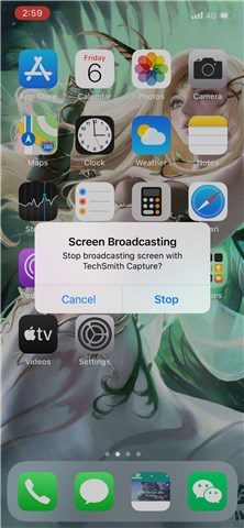 TechSmith Capture stop recording