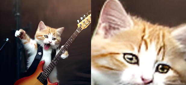 AI Image Sharpened by VanceAI